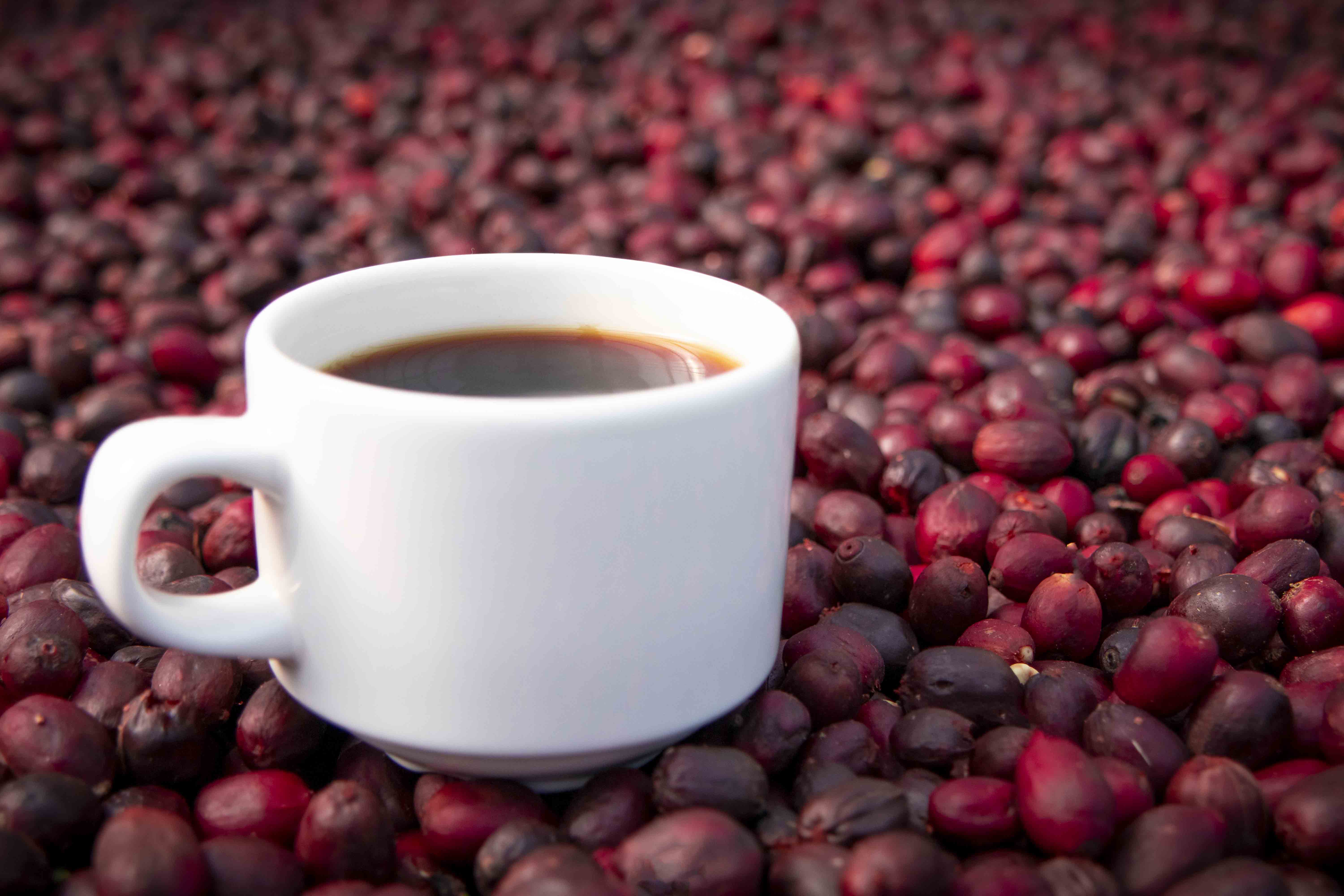  Decaf Flavored Coffee